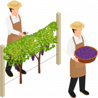 Receiving - Farmers harvesting fresh ingredients