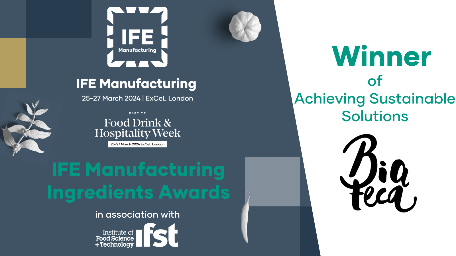 IFE Manufacturing Award certificate for Biateca