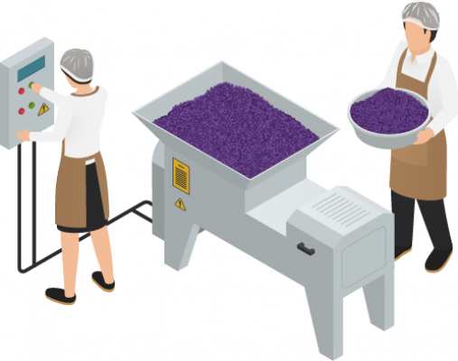 Grape seed separation