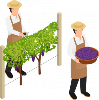 Receiving - Farmers harvesting fresh ingredients